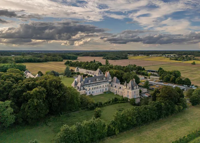 Chateau De Briancon, The Originals Relais