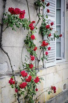 Chateau De Briancon, The Originals Relais Hotel